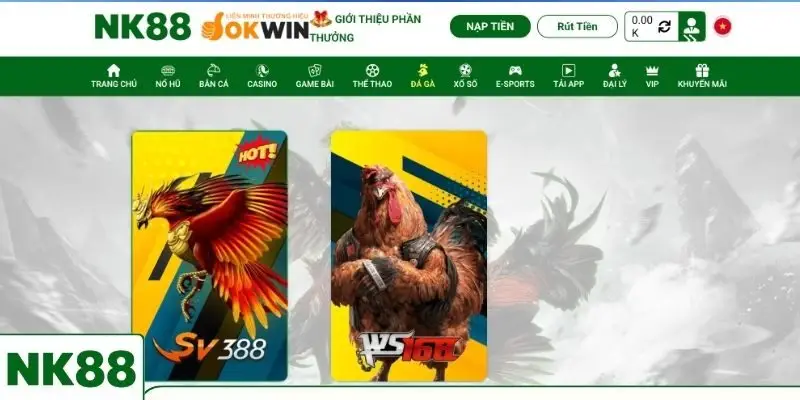 Đá gà NK88 là chuyên mục giải trí hấp dẫn