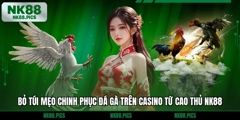 Bỏ túi mẹo chinh phục đá gà trên casino từ cao thủ NK88