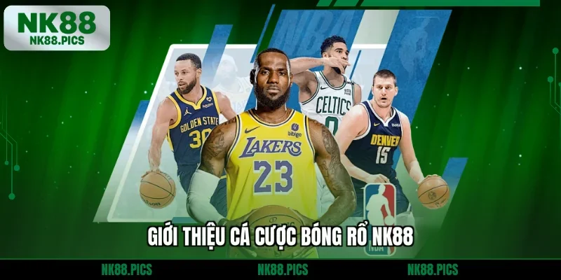 Giới thiệu cá cược bóng rổ NK88